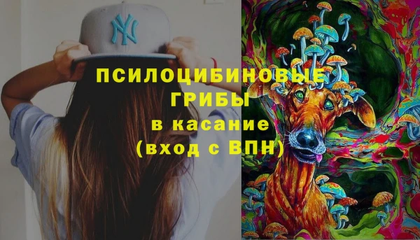 ешки Верея